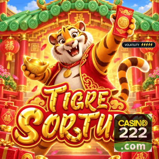 Ajustes de segurança e controle de sessão da conta CASINO222